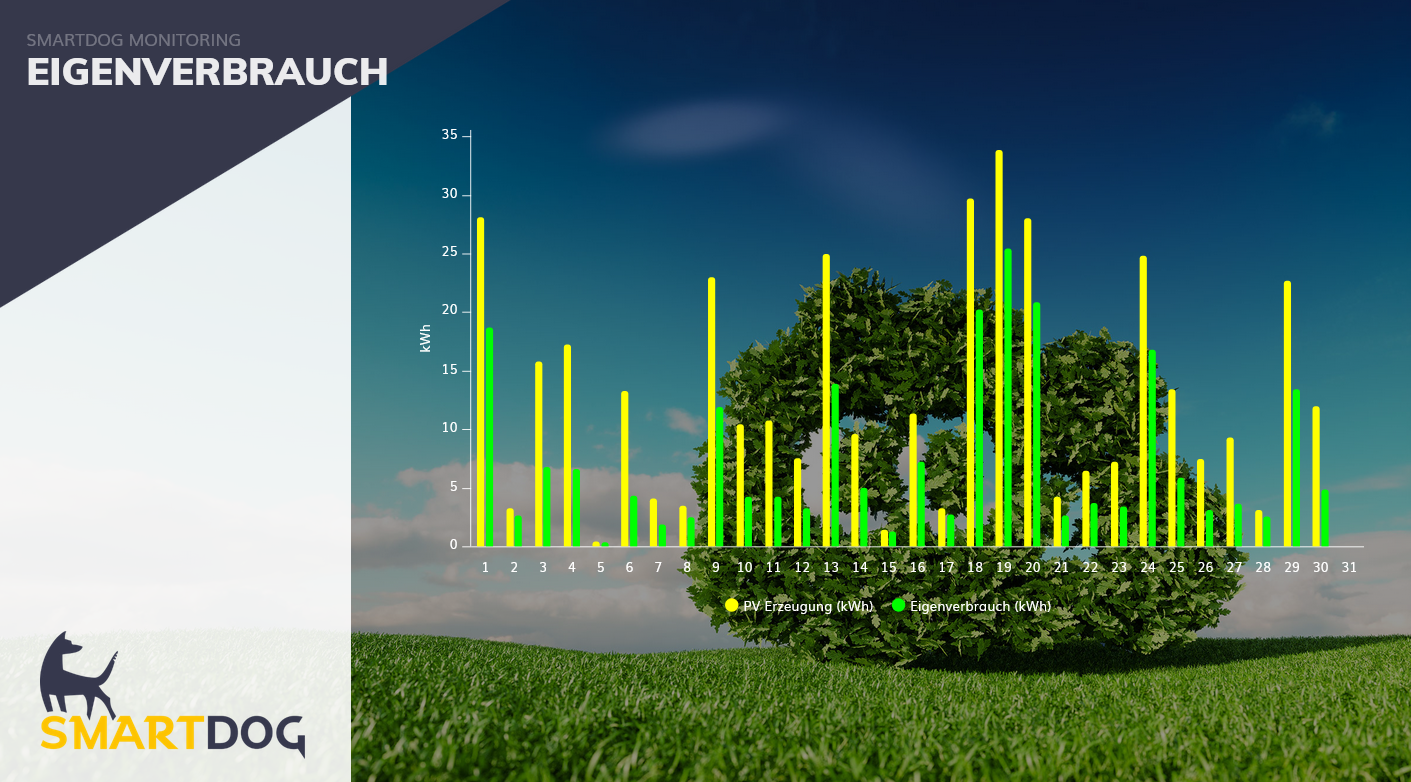 Smart Monitoring: Balkendiagramm zur Eigenverbrauchsanalyse von PV-Strom